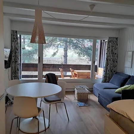 Le Flocon In Close To The Baths *