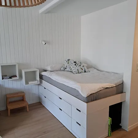 アパート Le Flocon In Close To The Baths オヴロナ