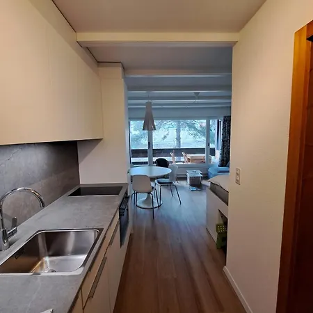 Le Flocon In Close To The Baths *